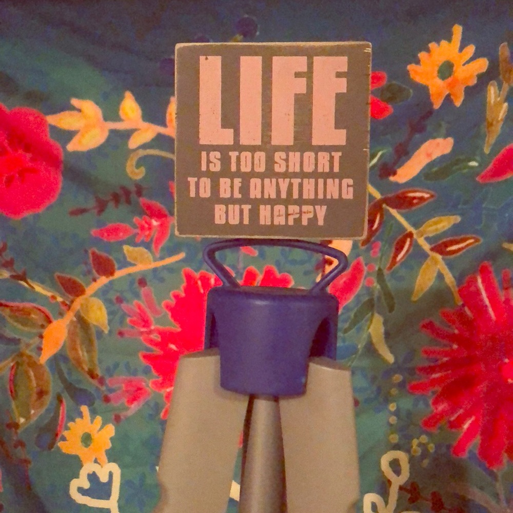 Life is too Short... Wall Plaque